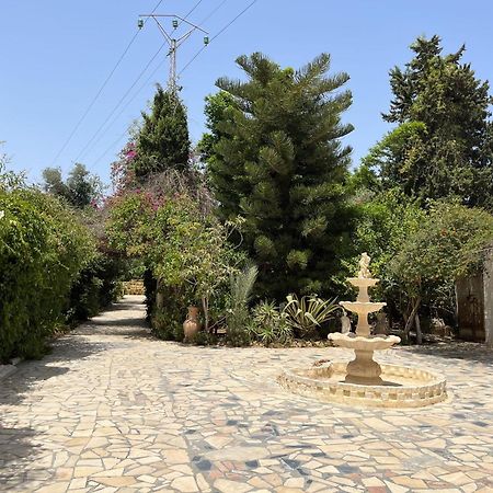 Dar Beldi Hotel Hammamet Eksteriør billede